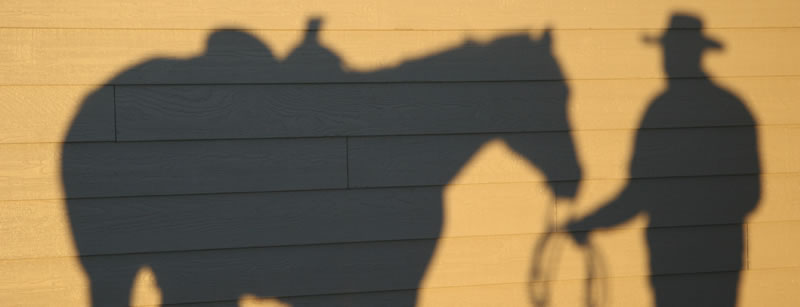 Schatten von Pferd und Cowboy